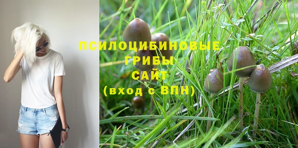 jwh Мегион