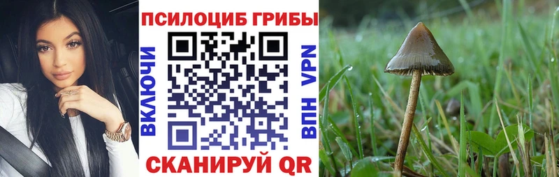 Галлюциногенные грибы ЛСД  ссылка на мегу ссылки  Орск 